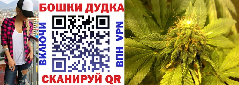 где можно купить   Невельск  Шишки марихуана сатива 
